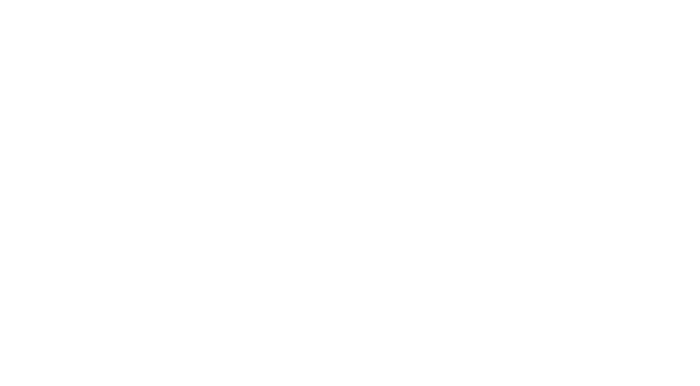 VIDEM CENTRA